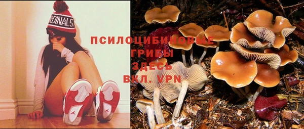 твердый Липки