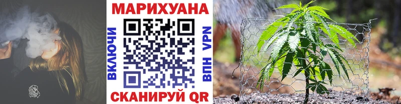 Шишки марихуана гибрид  блэк спрут маркетплейс  Фокино  сколько стоит 
